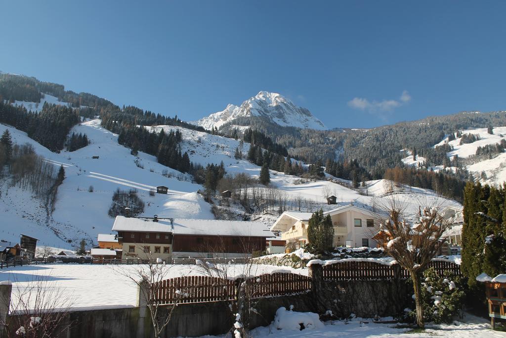 Haus Schoenegger Dorfgastein Ngoại thất bức ảnh