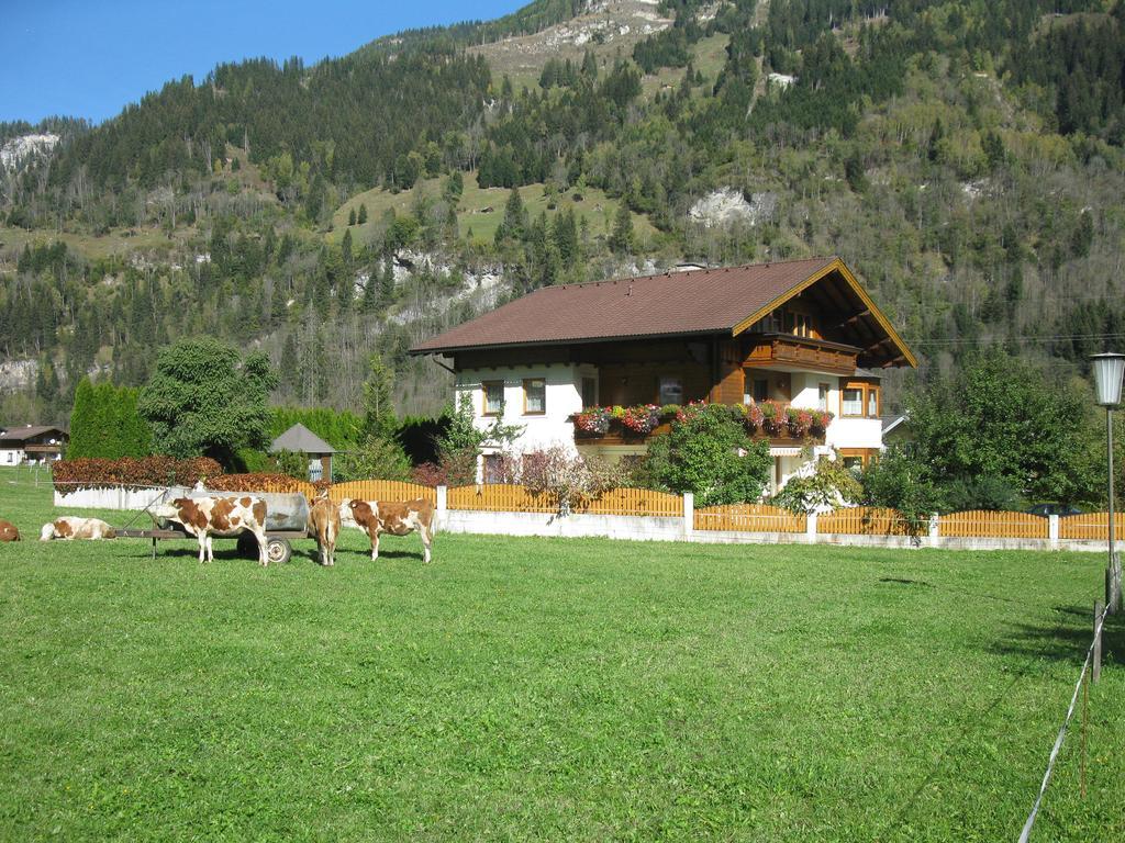 Haus Schoenegger Dorfgastein Ngoại thất bức ảnh